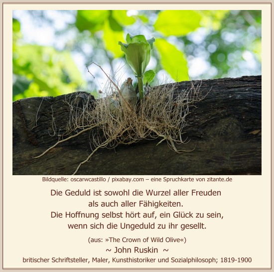 Download Geduld sprueche ungeduld For Android Geduld Sprueche Ungeduld